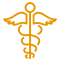 Medical & Professional Services icon